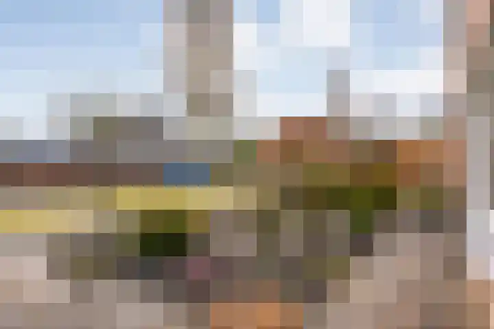 de Haar 57 Raalte thumbnail 9