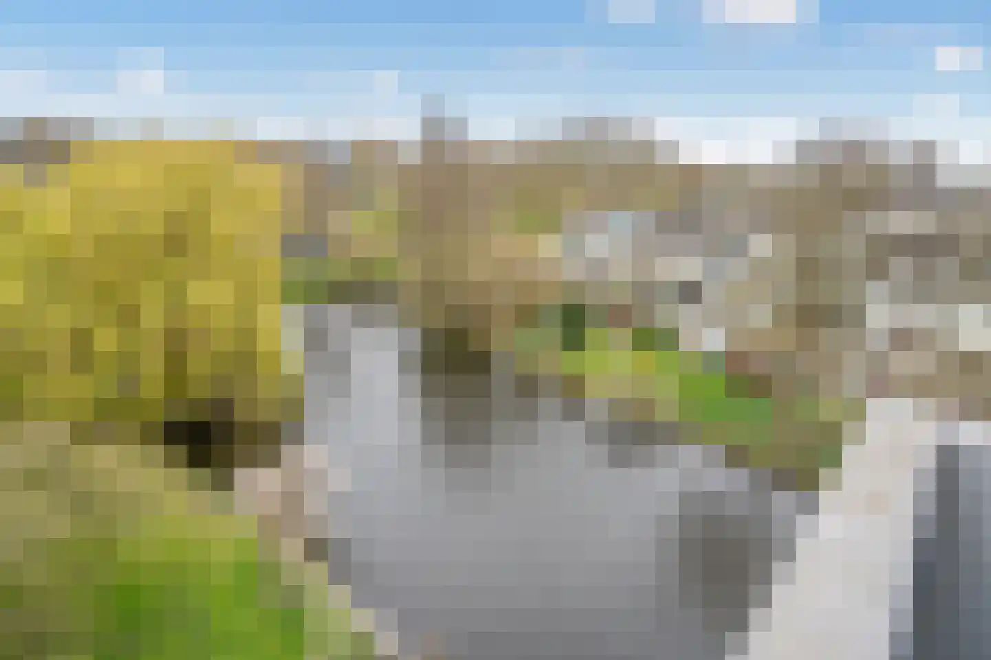 De Haar 83 Leidschendam thumbnail 10
