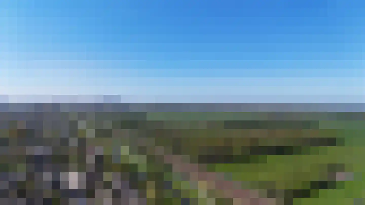 De Haar 90 Leidschendam thumbnail 10