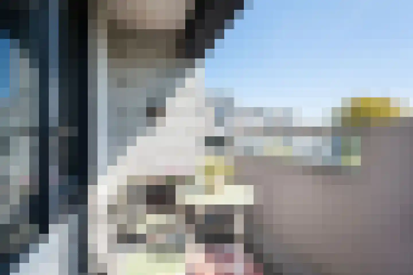 De Haar 90 Leidschendam thumbnail 30