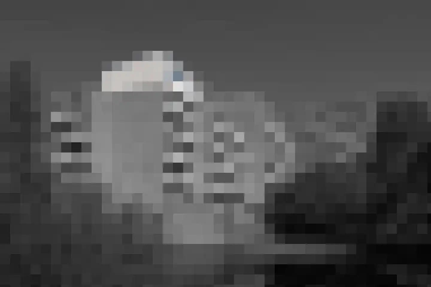 De Haar 90 Leidschendam thumbnail 42