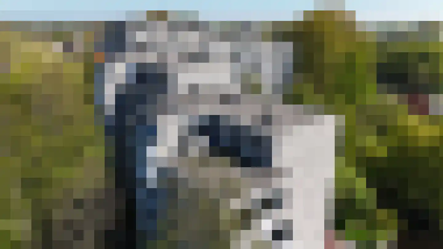 De Haar 90 Leidschendam thumbnail 43