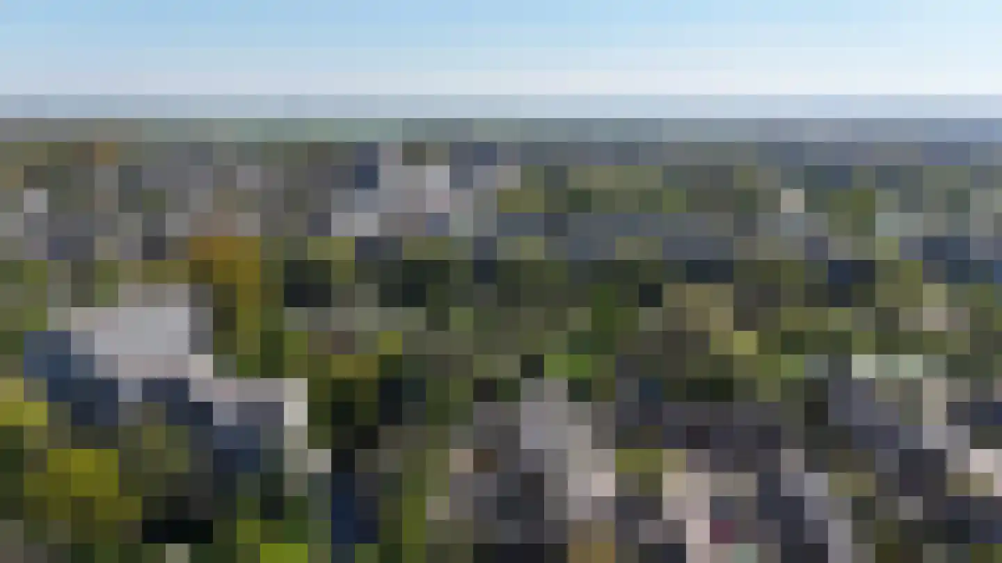 De Haar 90 Leidschendam thumbnail 44