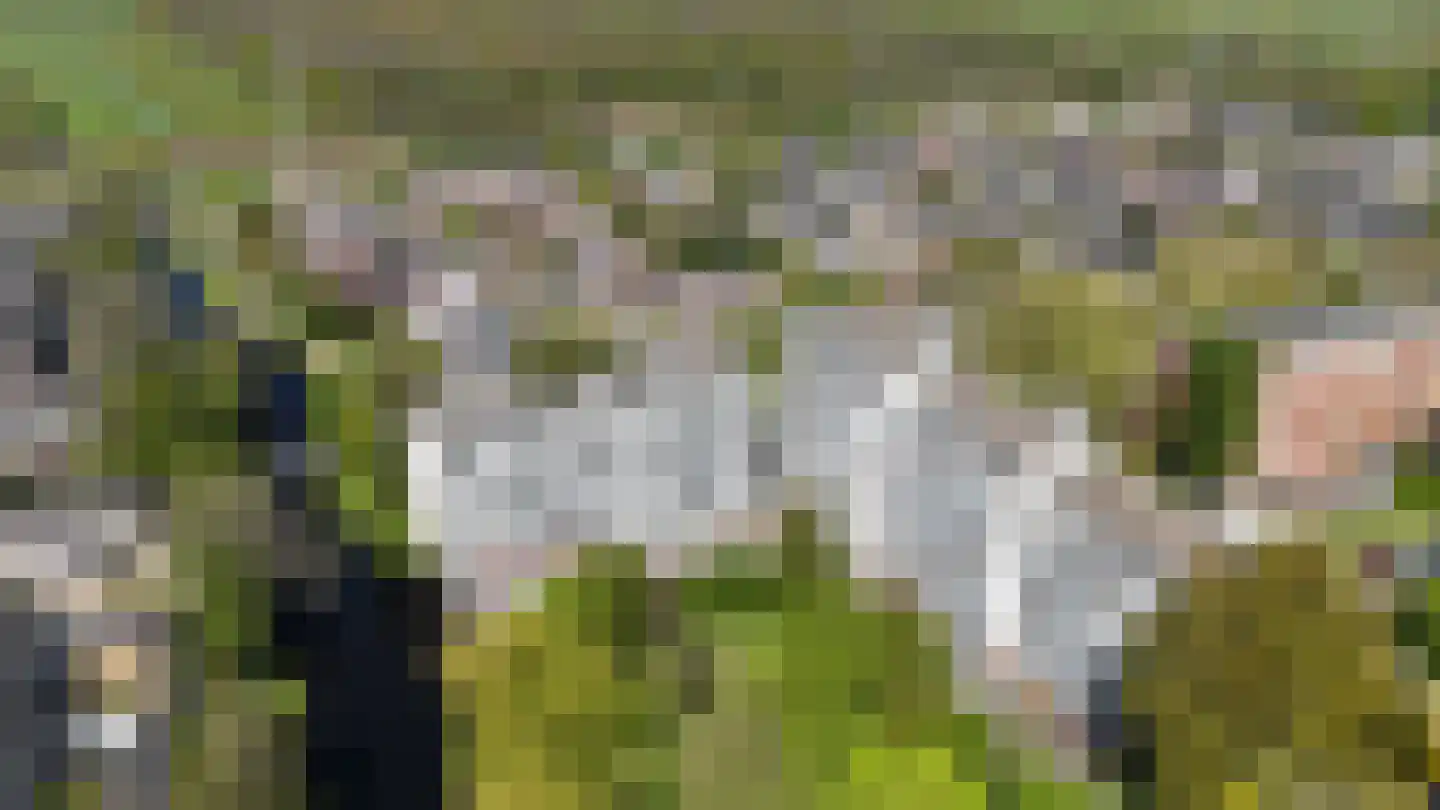 De Haar 90 Leidschendam thumbnail 5