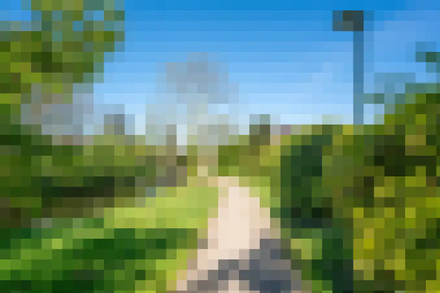 De Haar 90 Leidschendam thumbnail 7