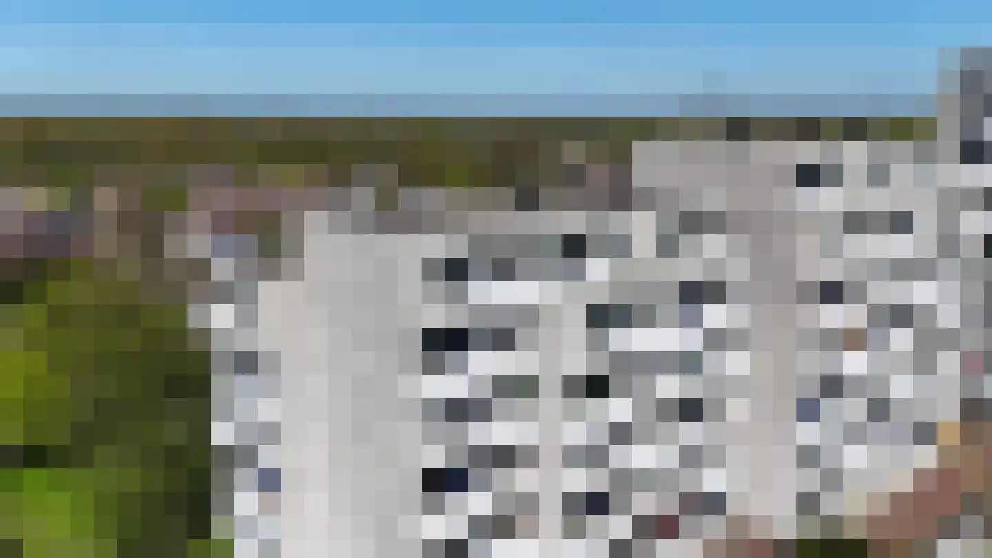 De Haar 90 Leidschendam thumbnail 8