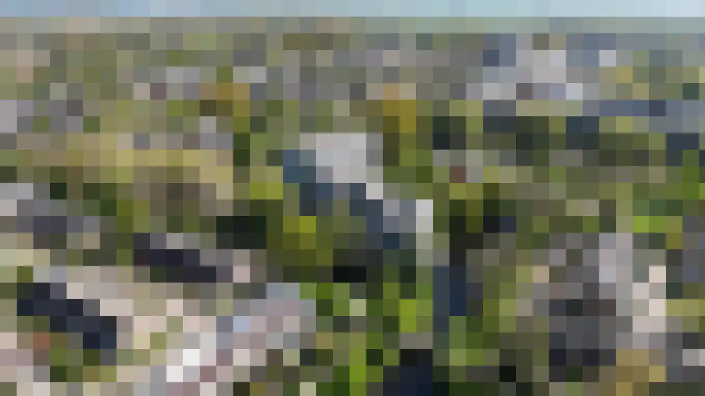 De Haar 90 Leidschendam thumbnail 9