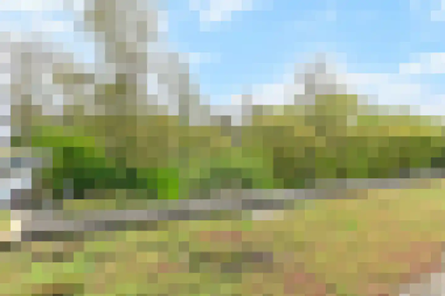 De Haar 97 Leidschendam thumbnail 25