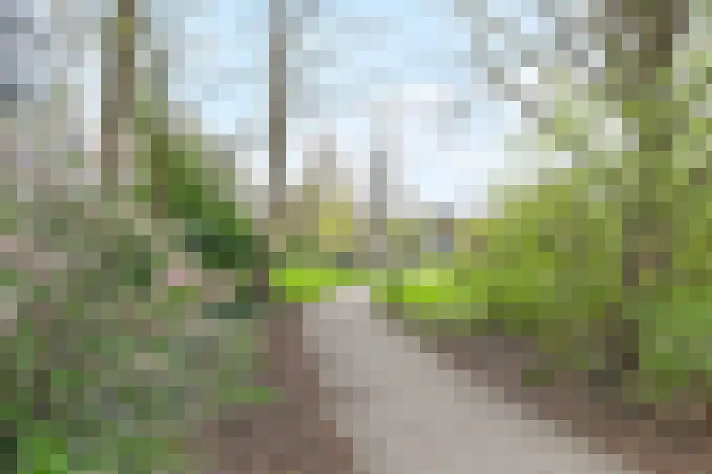 De Haar 97 Leidschendam thumbnail 27