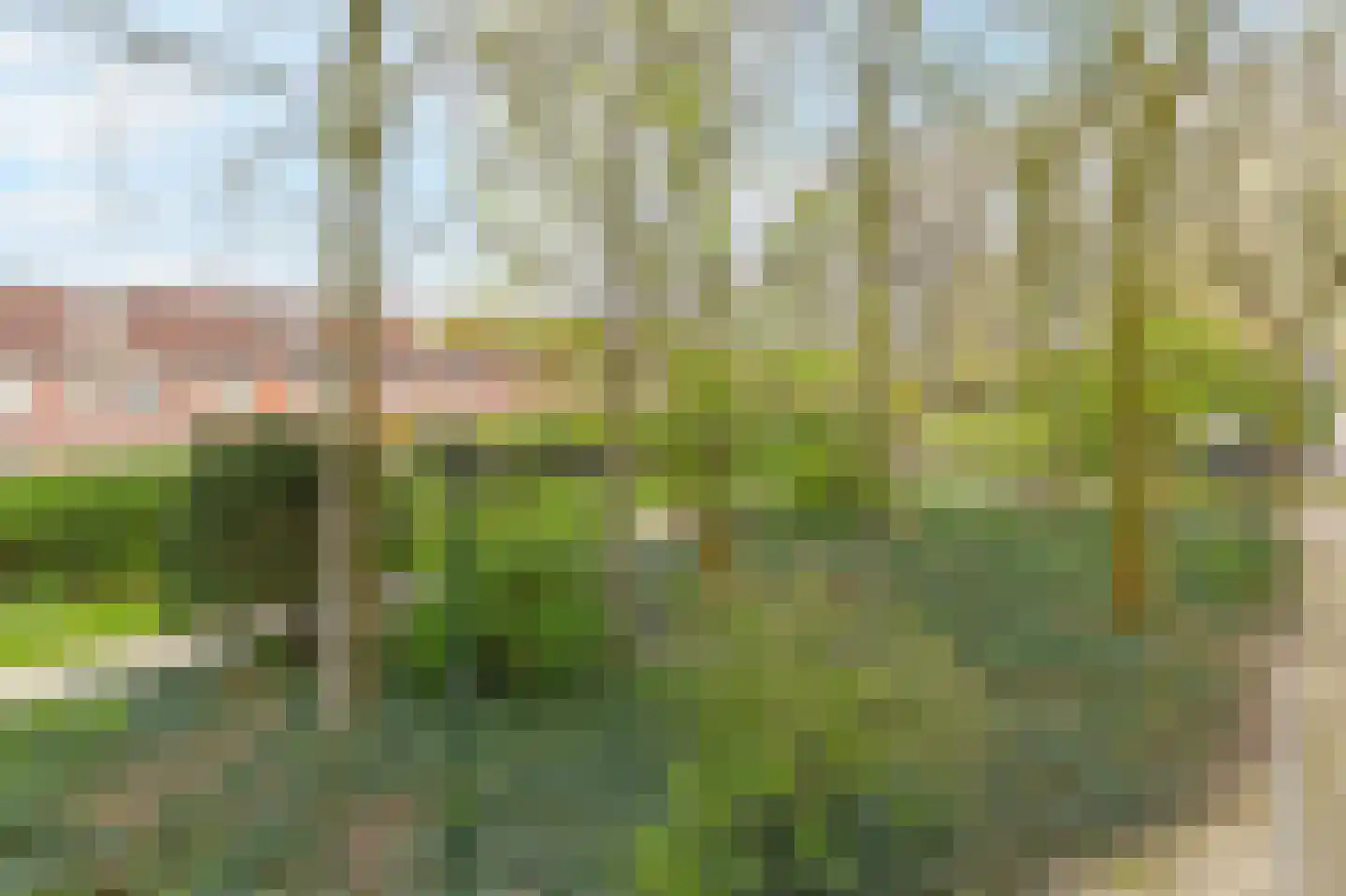 De Haar 97 Leidschendam thumbnail 33