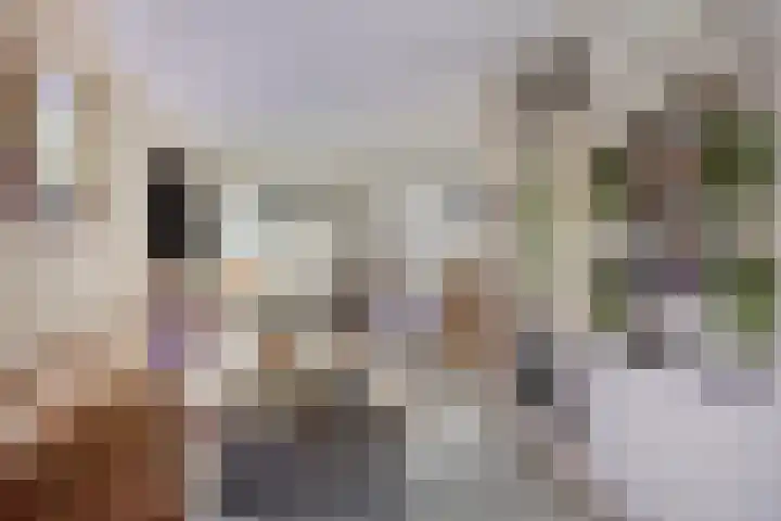 De Haardstede 50 Apeldoorn thumbnail 5