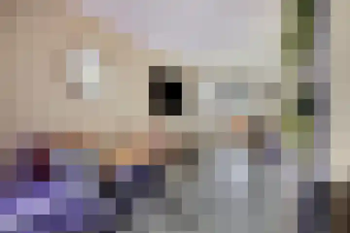 De Haardstede 50 Apeldoorn thumbnail 6