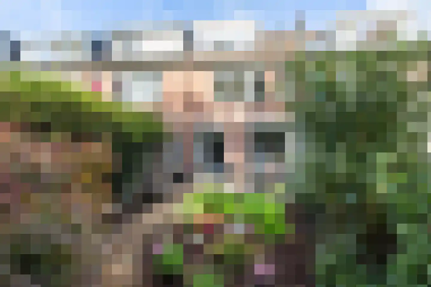 De Haardstede 9 Apeldoorn thumbnail 12