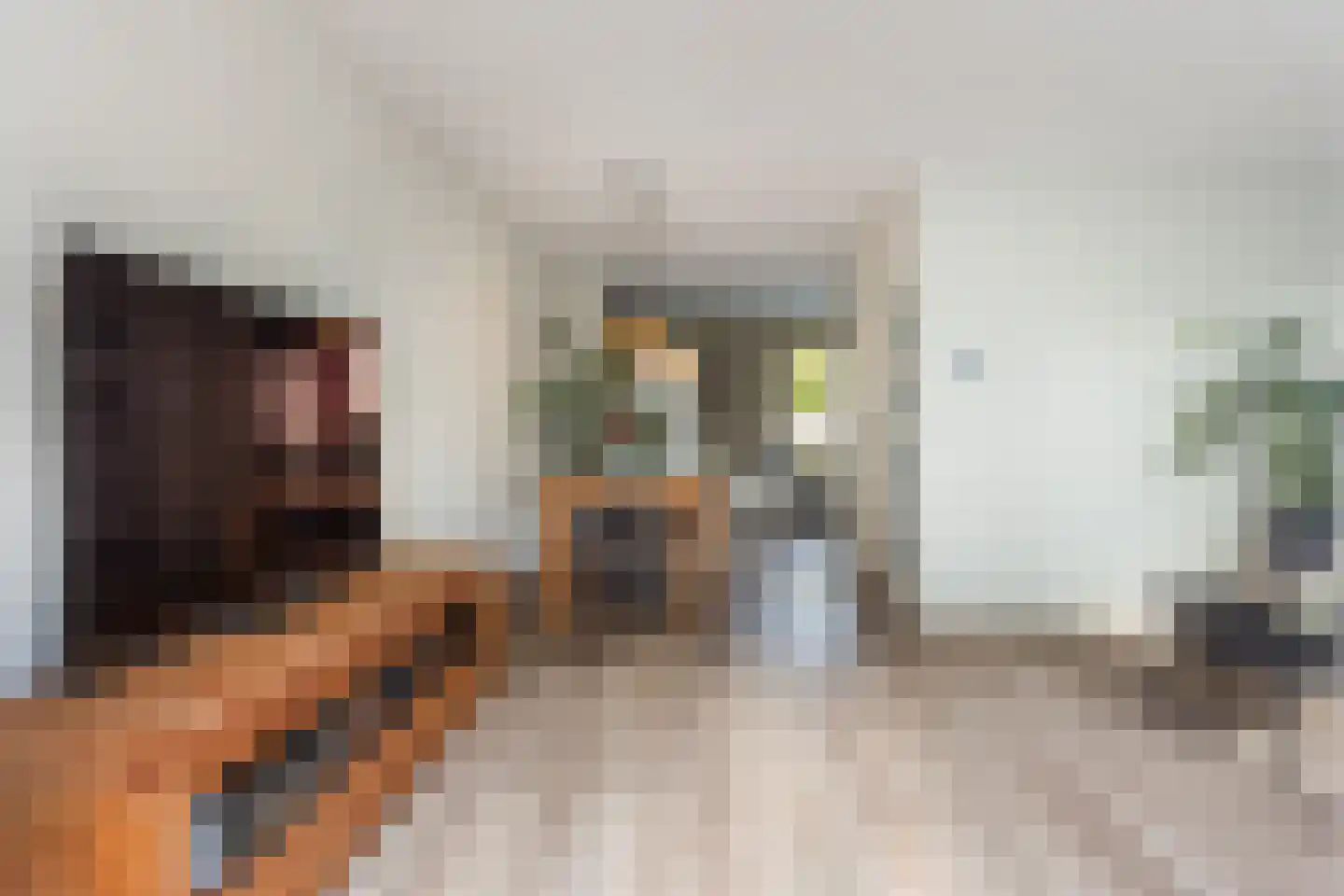 De Haardstede 9 Apeldoorn thumbnail 13