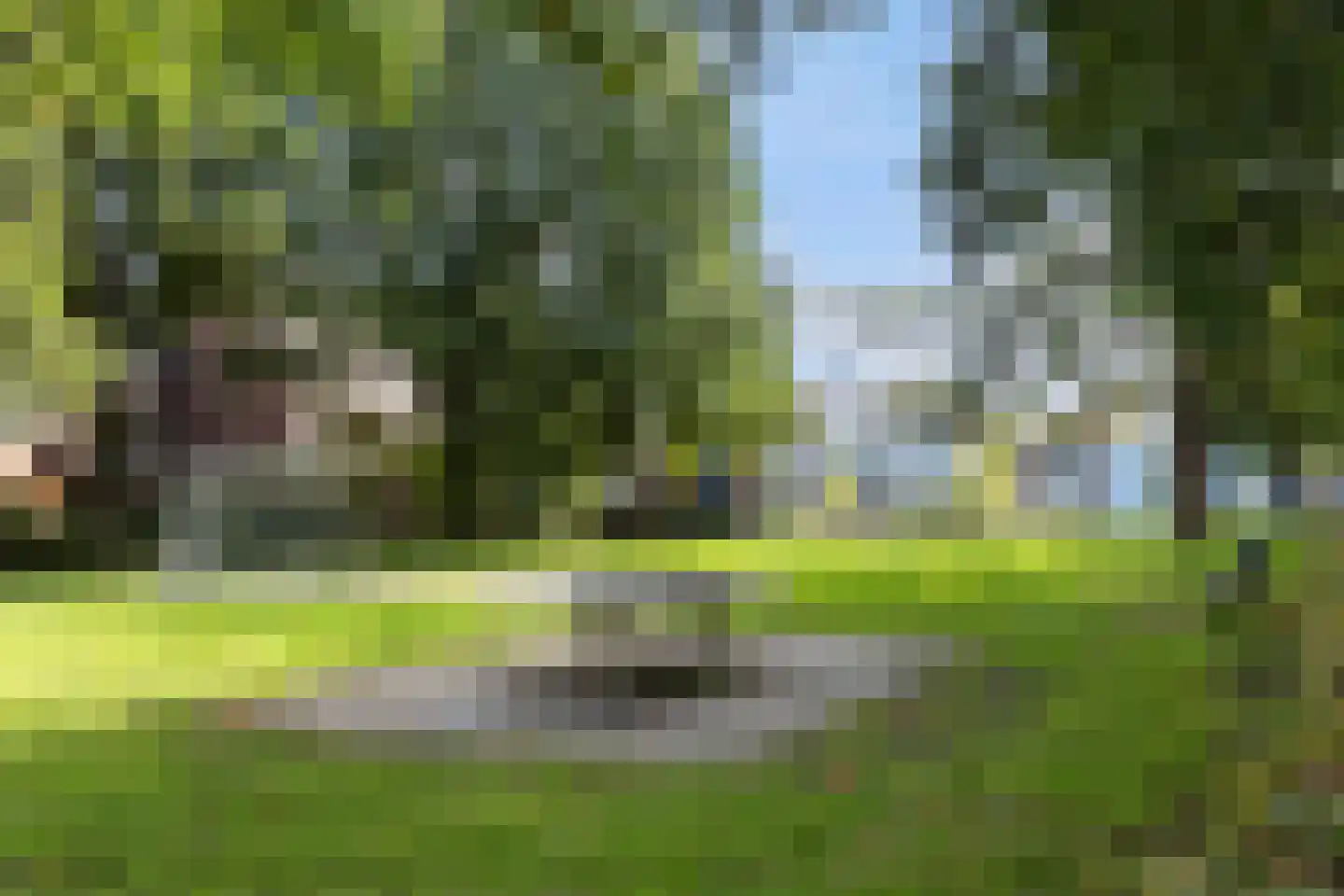De Haardstede 9 Apeldoorn thumbnail 34