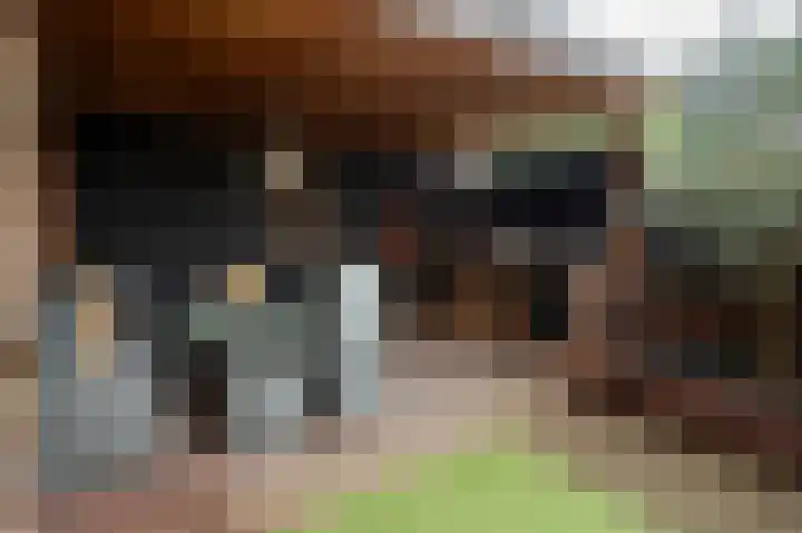 De Haarhamer 43 Groesbeek thumbnail 36