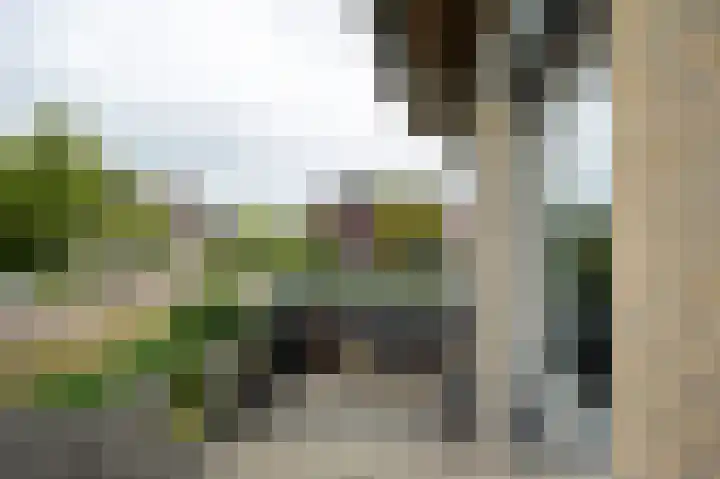 De Haarhamer 71 Groesbeek thumbnail 22