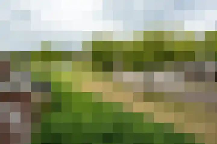 De Haarhamer 71 Groesbeek thumbnail 23
