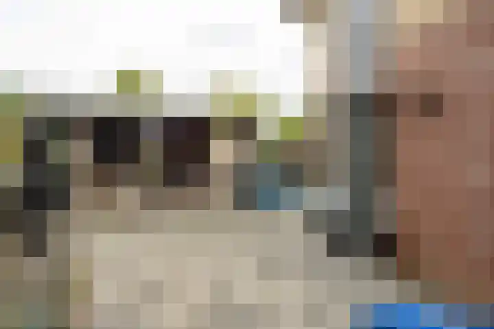 De Haarhamer 71 Groesbeek thumbnail 32