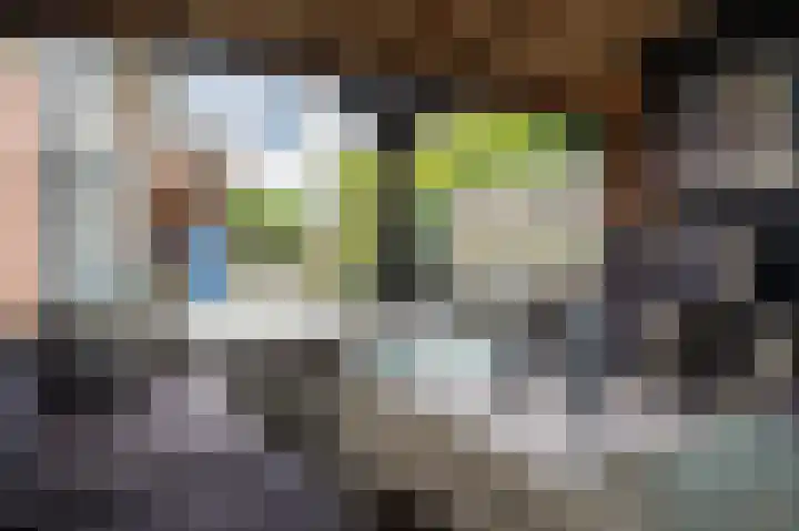 De Haarhamer 71 Groesbeek thumbnail 33