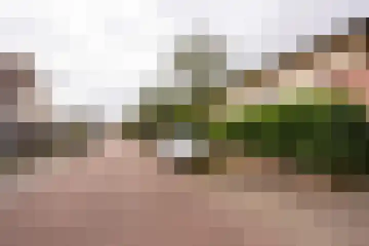 De Haarhamer 71 Groesbeek thumbnail 35