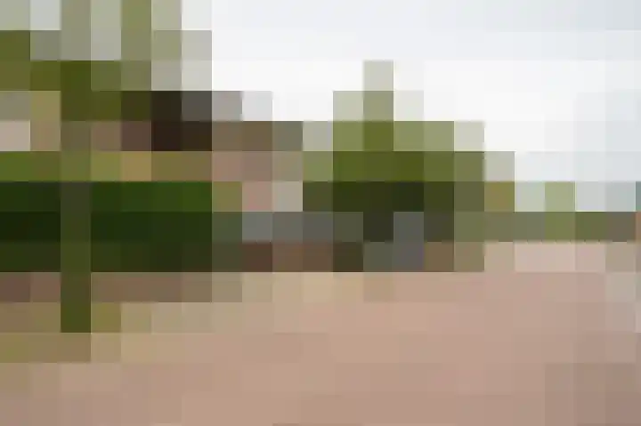 De Haarhamer 71 Groesbeek thumbnail 36