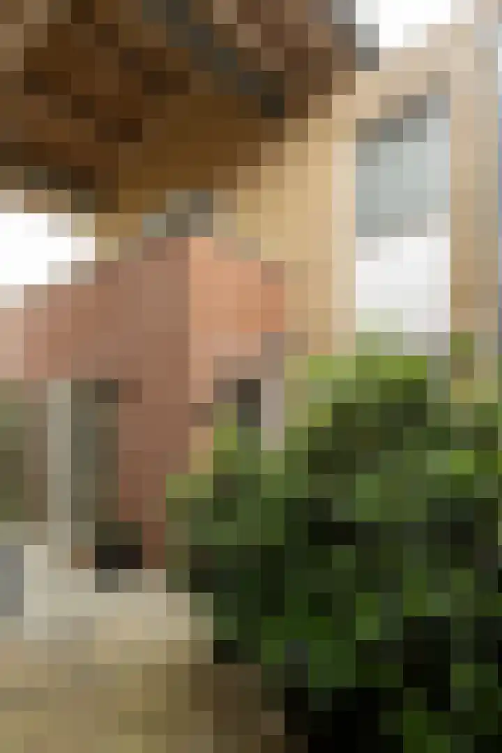 De Haarhamer 71 Groesbeek thumbnail 4