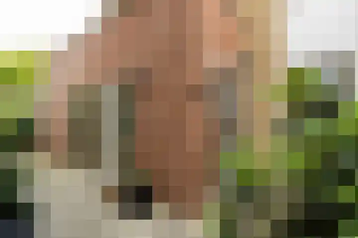 De Haarhamer 71 Groesbeek thumbnail 5