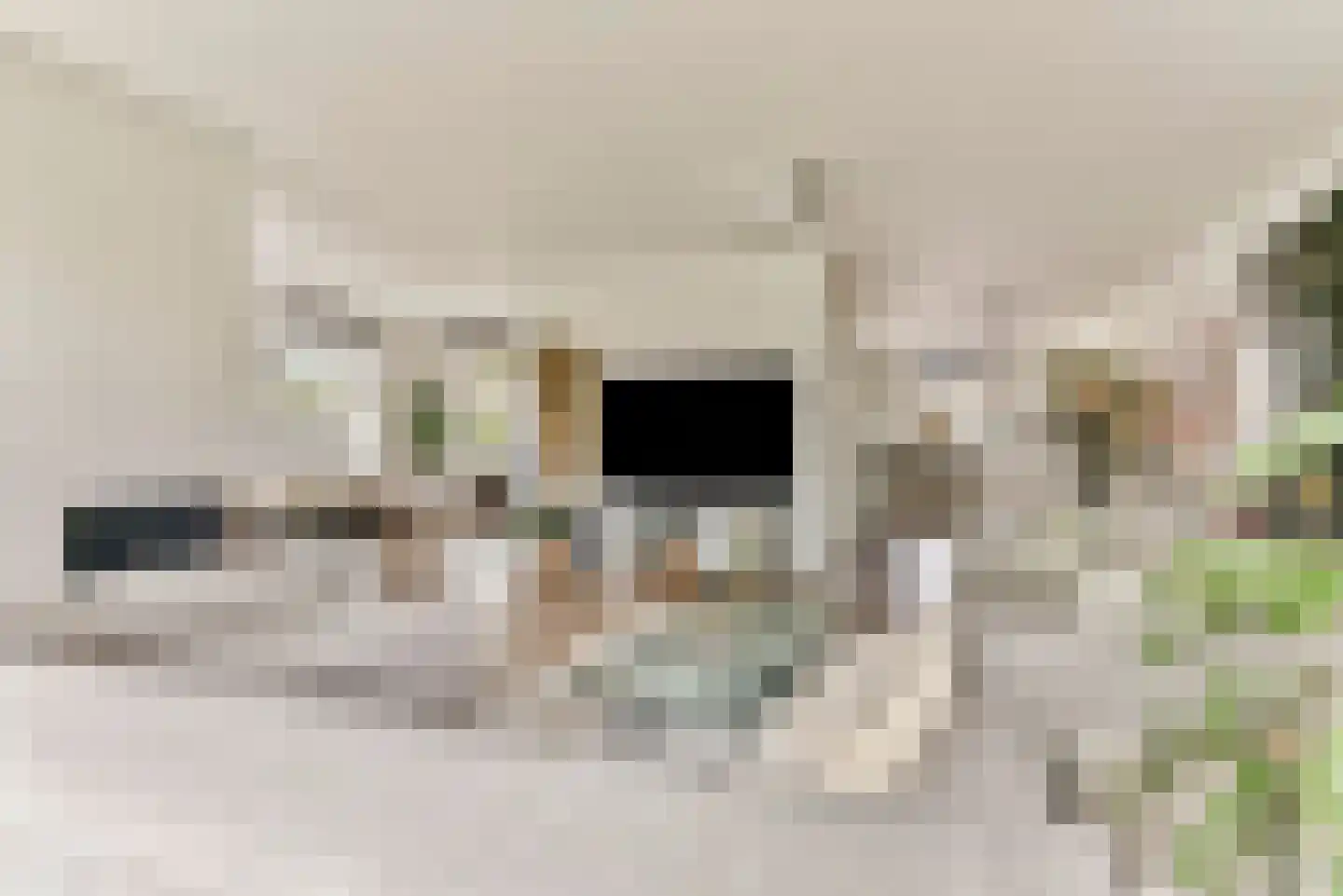 De Haarhof 4 Hoevelaken thumbnail 10