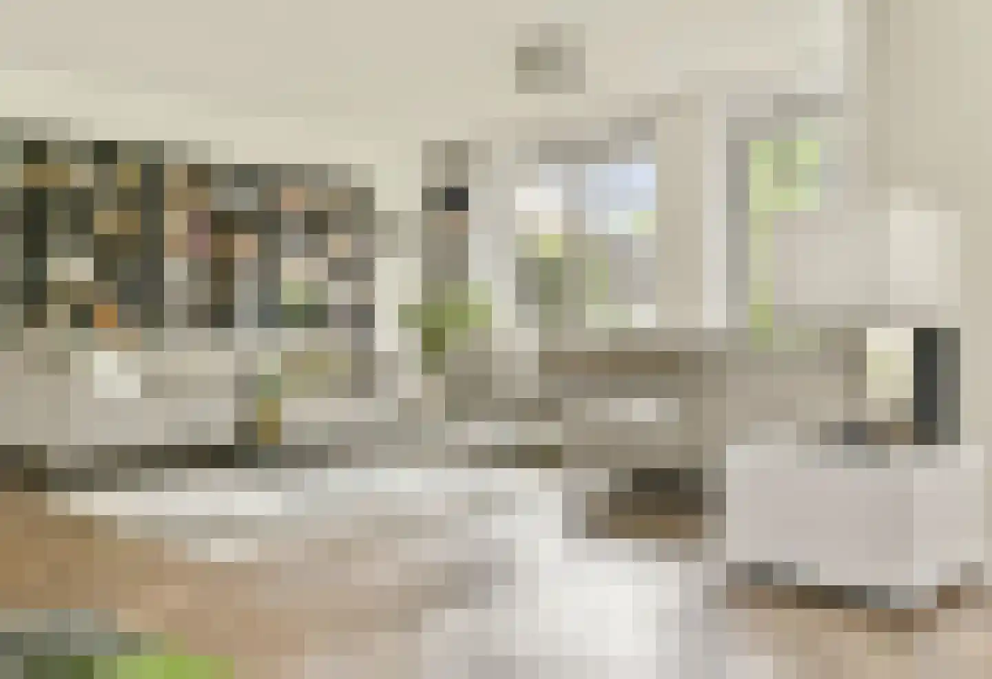 De Haarhof 4 Hoevelaken thumbnail 11