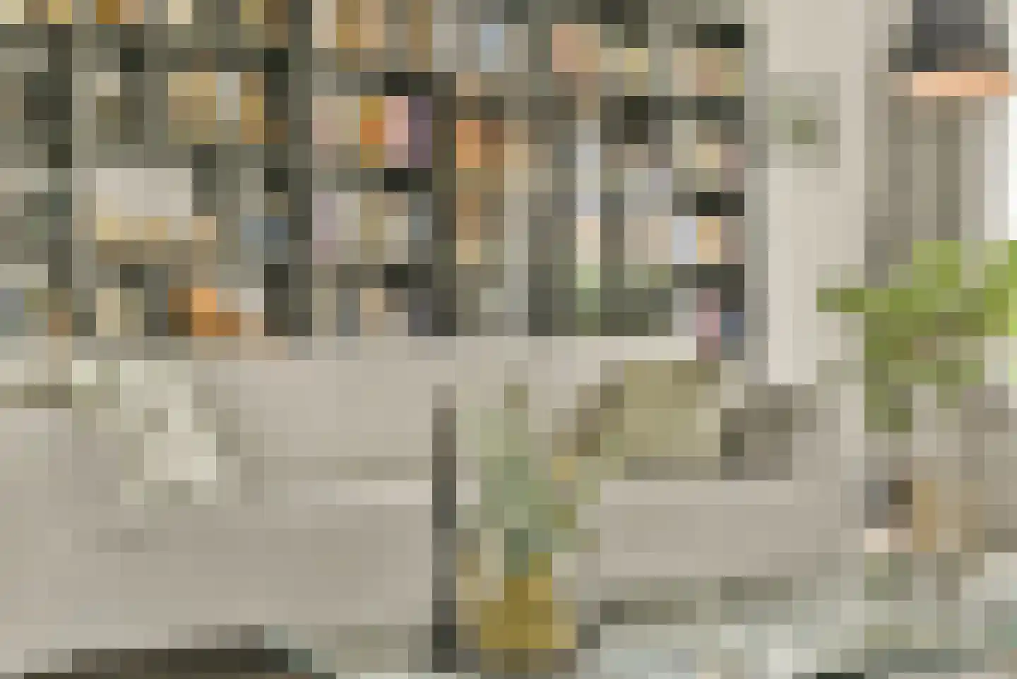 De Haarhof 4 Hoevelaken thumbnail 12
