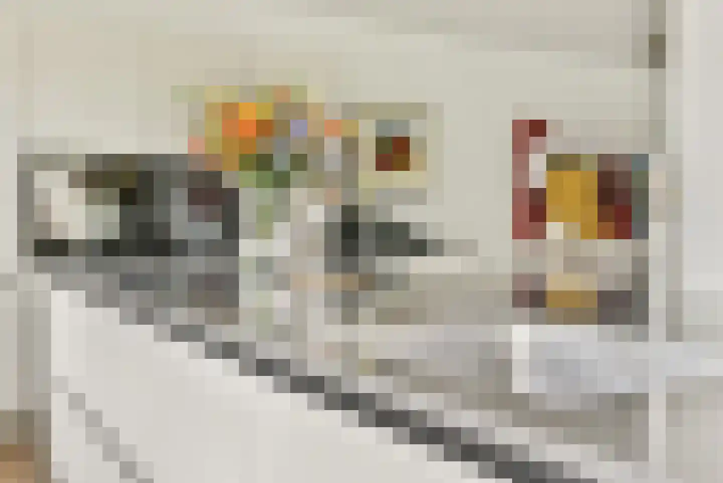 De Haarhof 4 Hoevelaken thumbnail 18