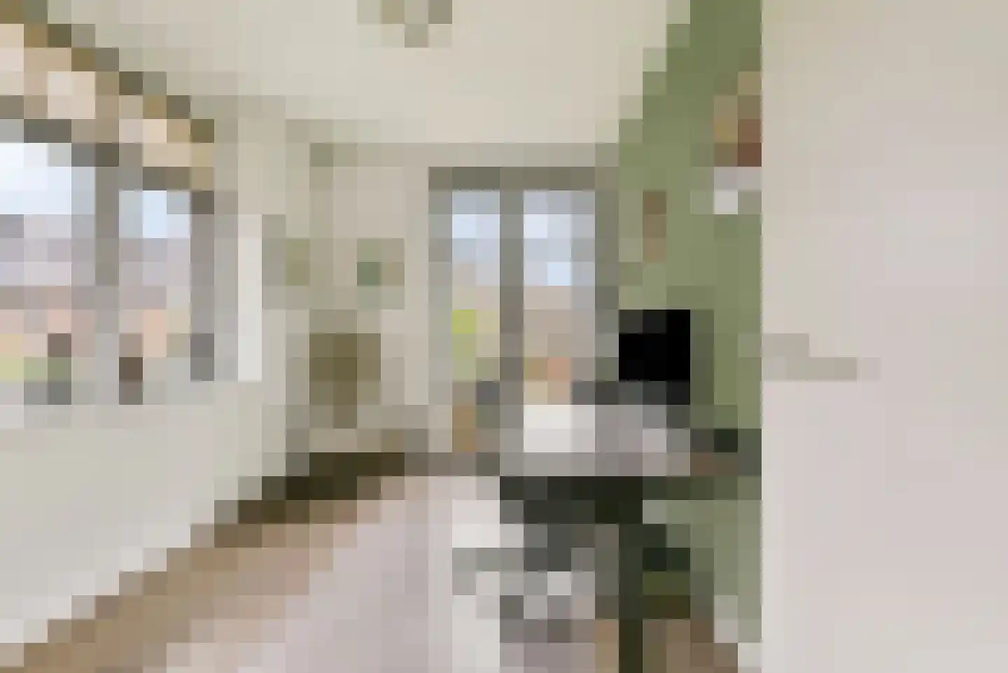 De Haarhof 4 Hoevelaken thumbnail 25