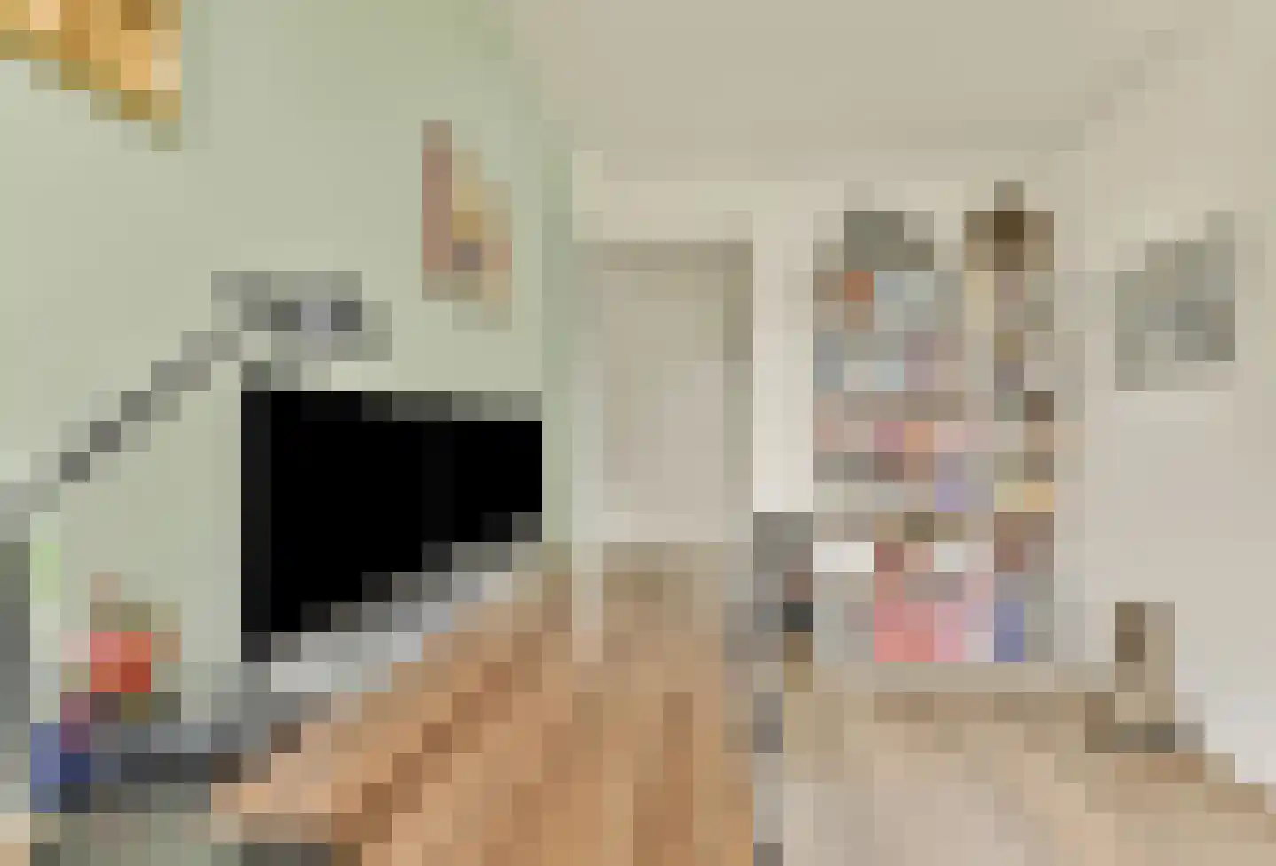 De Haarhof 4 Hoevelaken thumbnail 26