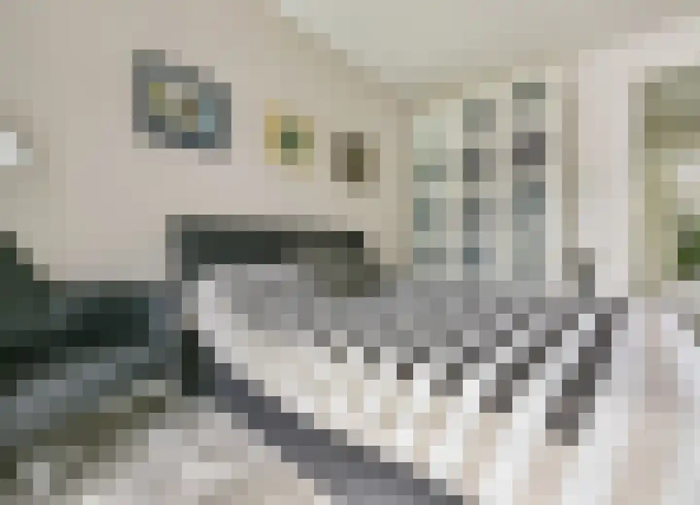 De Haarhof 4 Hoevelaken thumbnail 30