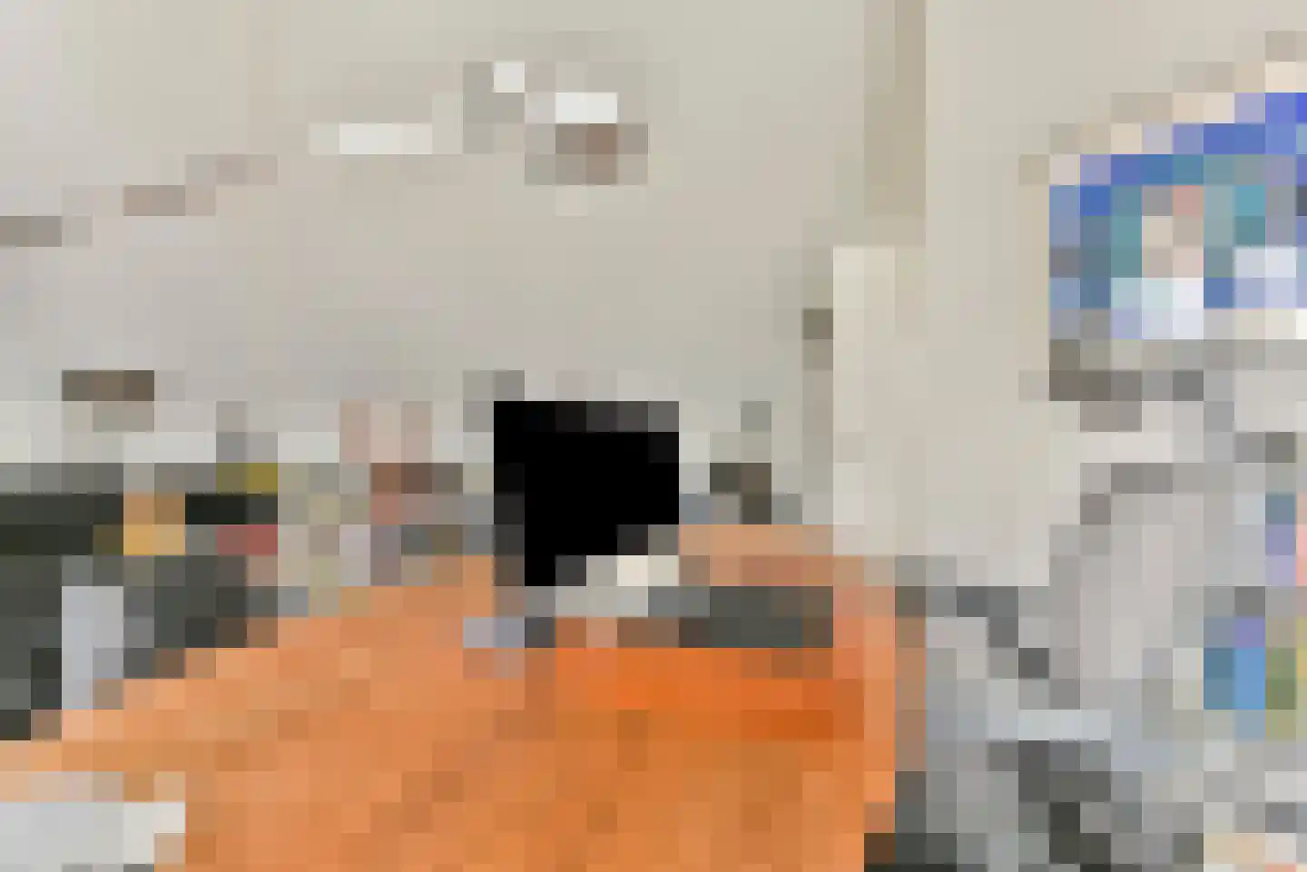 De Haarhof 4 Hoevelaken thumbnail 37