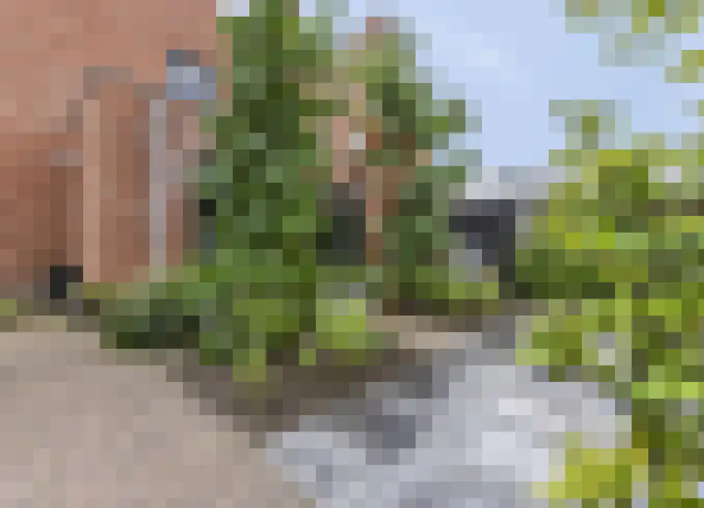De Haarhof 4 Hoevelaken thumbnail 39