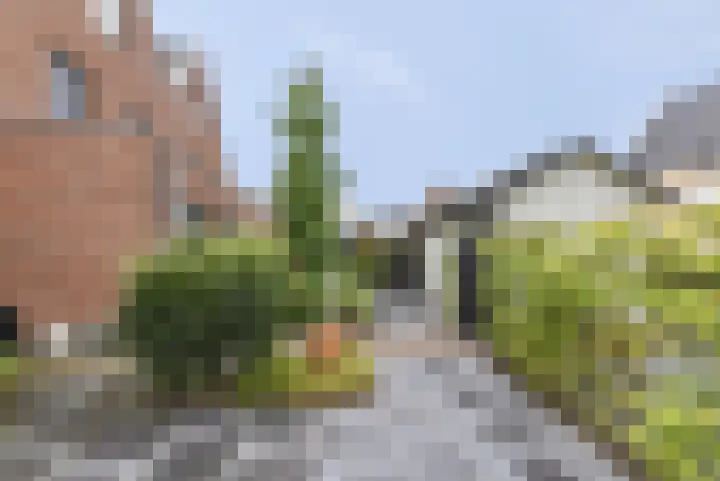 De Haarhof 4 Hoevelaken thumbnail 40
