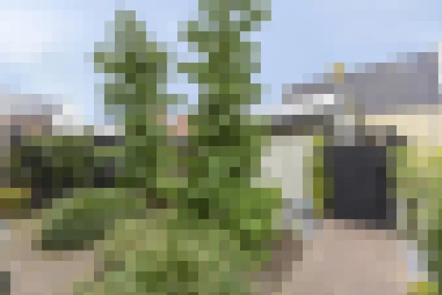 De Haarhof 4 Hoevelaken thumbnail 41