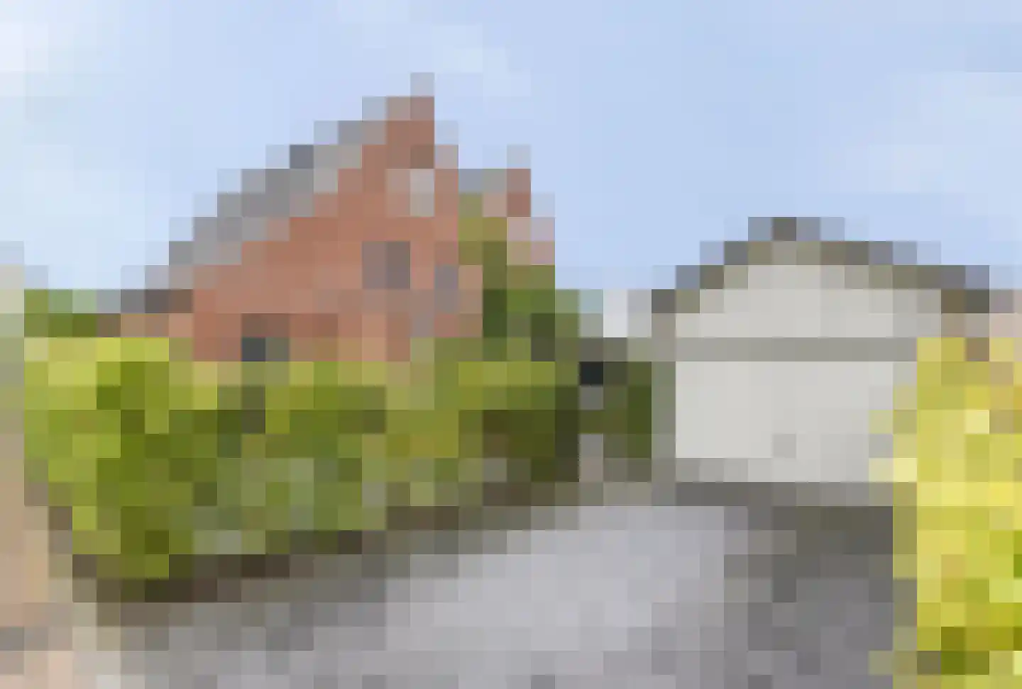 De Haarhof 4 Hoevelaken thumbnail 43
