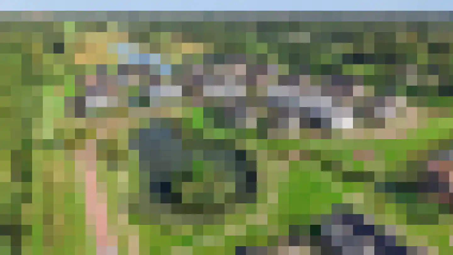 De Haarhof 4 Hoevelaken thumbnail 44