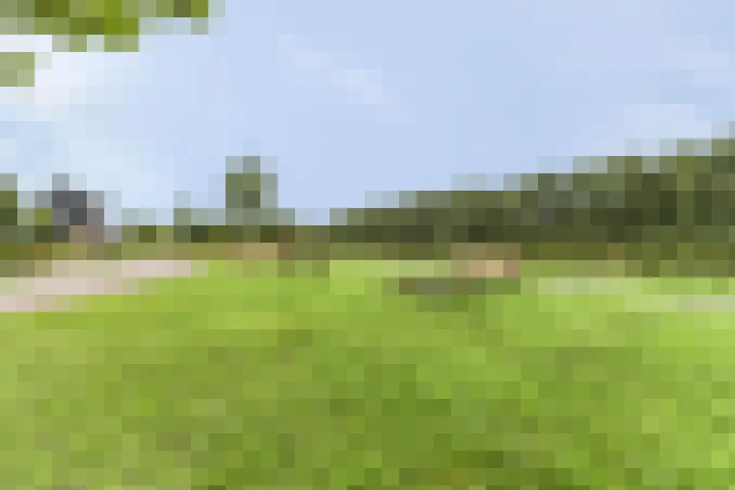 De Haarhof 4 Hoevelaken thumbnail 47