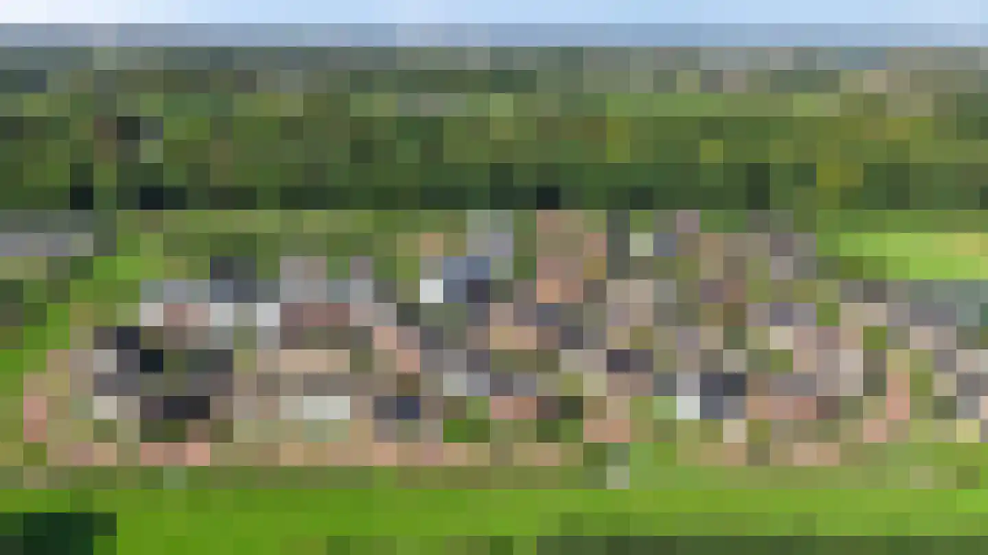 De Haarhof 4 Hoevelaken thumbnail 48