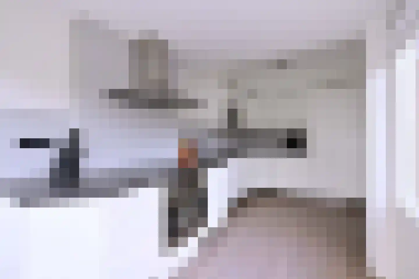 De Haarmansenk 10 Schalkhaar thumbnail 11