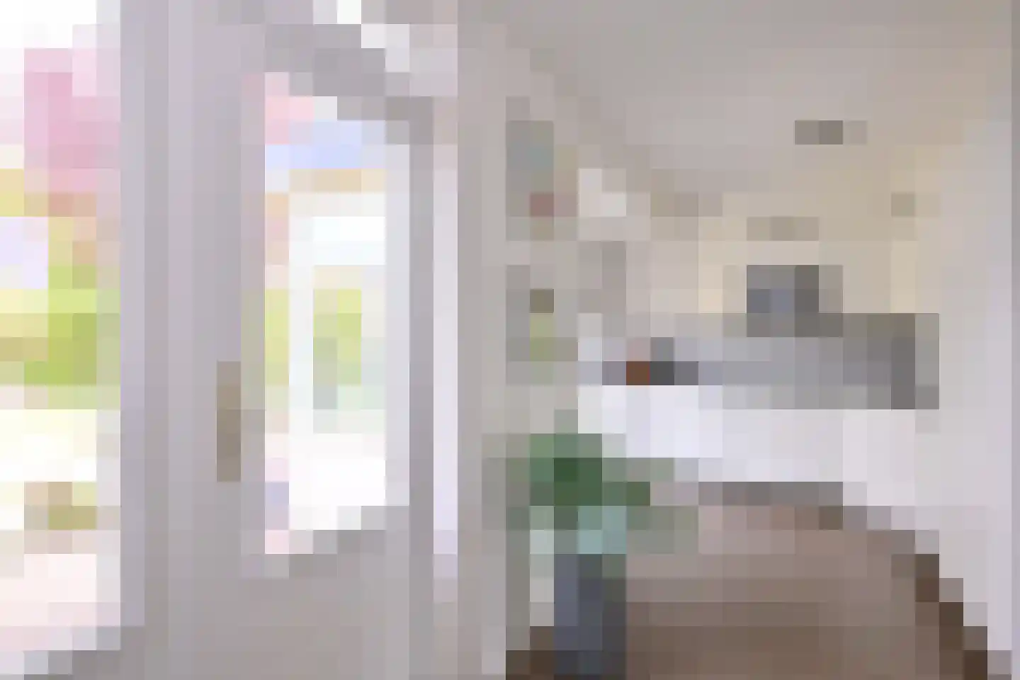 De Haarmansenk 10 Schalkhaar thumbnail 12