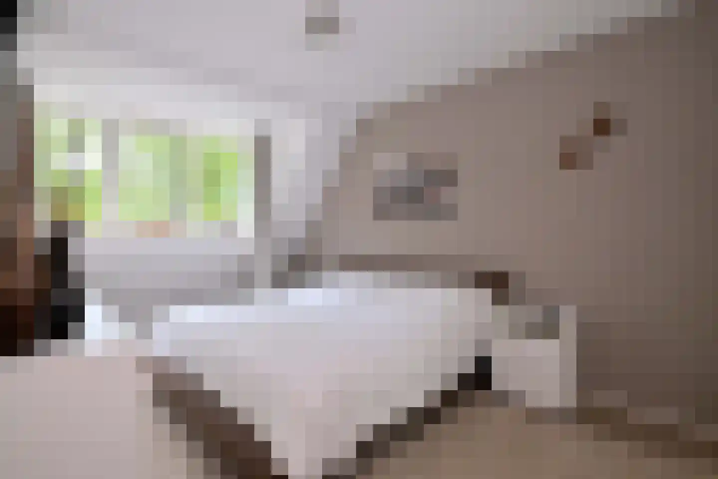 De Haarmansenk 10 Schalkhaar thumbnail 15
