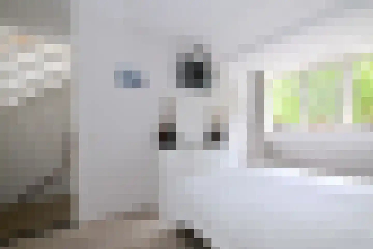 De Haarmansenk 10 Schalkhaar thumbnail 17