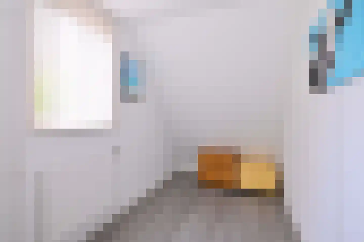De Haarmansenk 10 Schalkhaar thumbnail 23