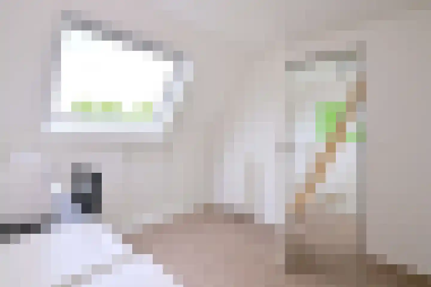 De Haarmansenk 10 Schalkhaar thumbnail 28