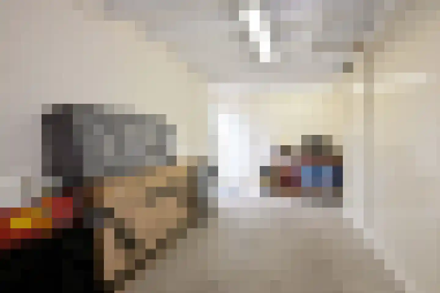 De Haarmansenk 10 Schalkhaar thumbnail 30